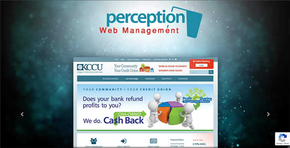 Perception Website